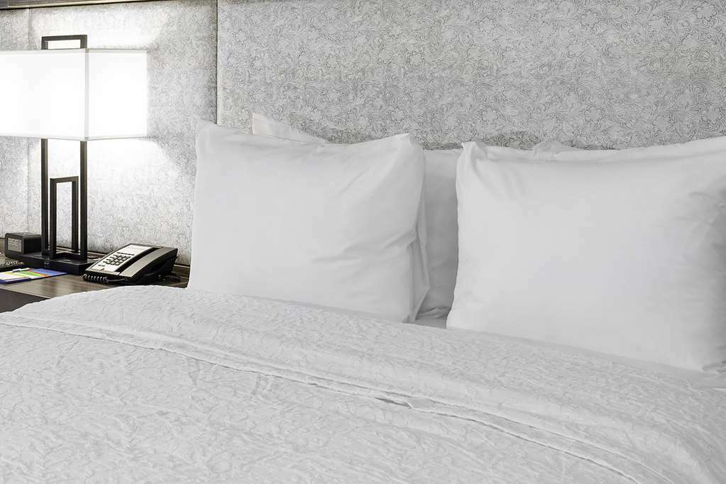 Hampton Inn&suites Riverwalk Hotel San Antonio
